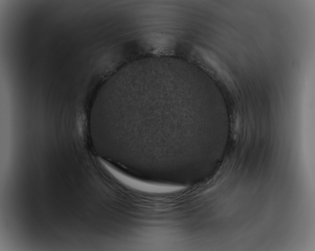 X0000093120748200710031333