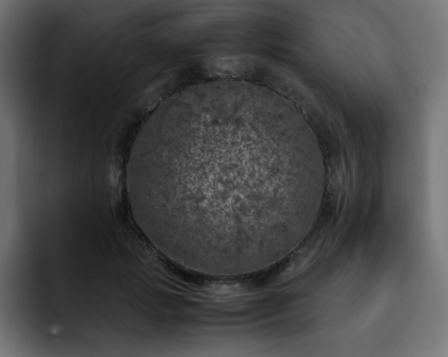 X0000093120749200710031333