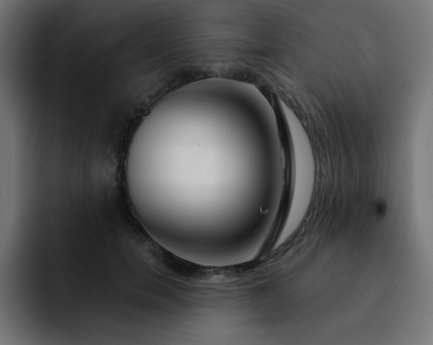 X0000093120750200710031333