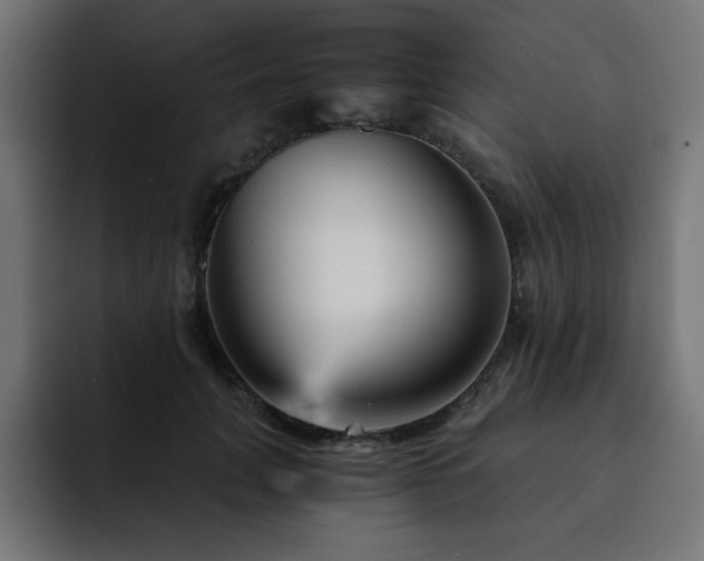 X0000093120751200710031334