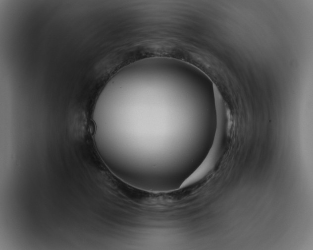 X0000093120752200710031334