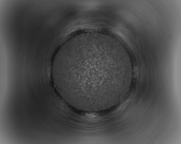 X0000093120753200710031334