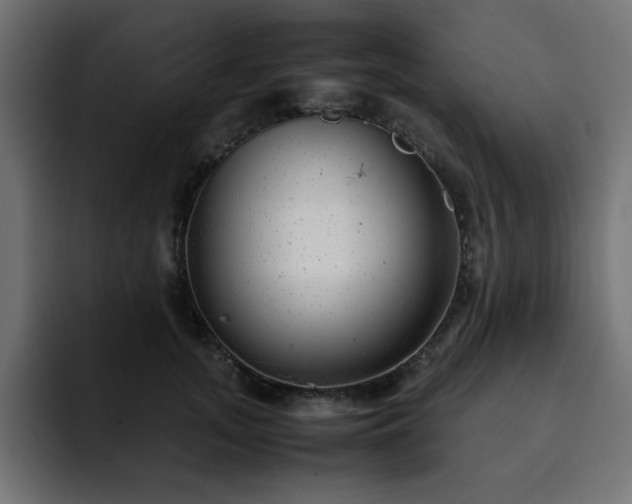 X0000093120755200710031334