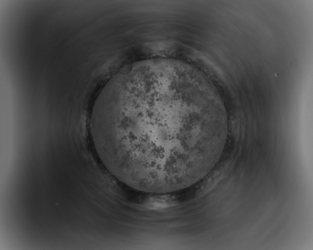 X0000093120757200710031334