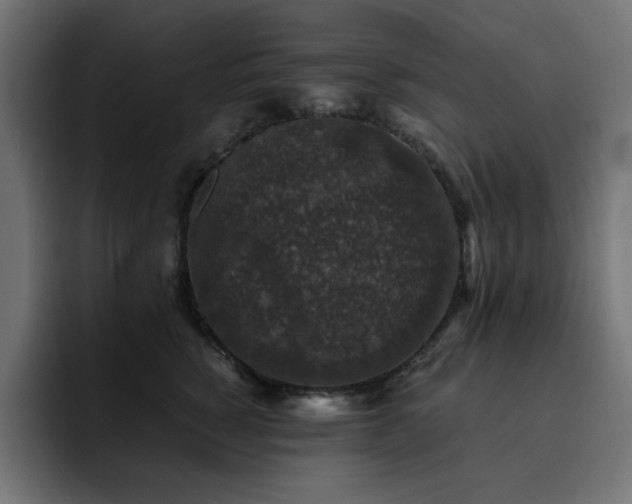 X0000093120760200710031334