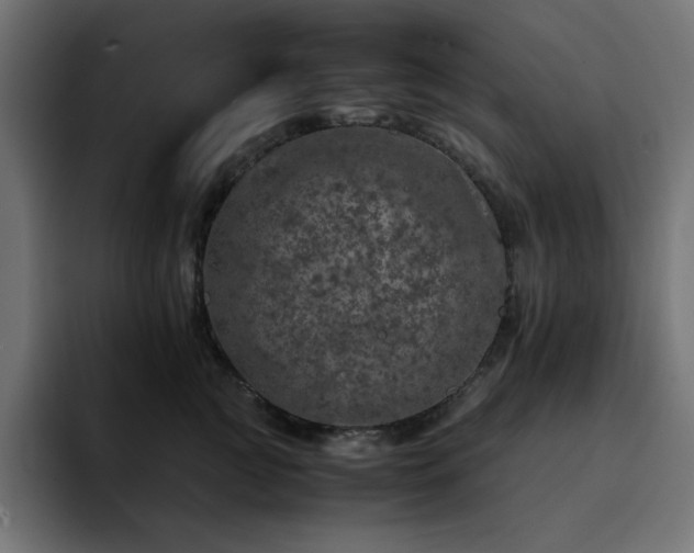 X0000093120761200710031334