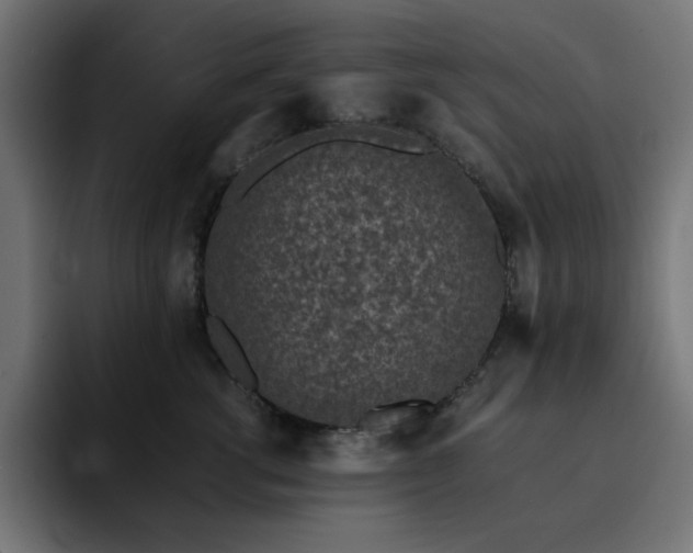 X0000093120762200710031334