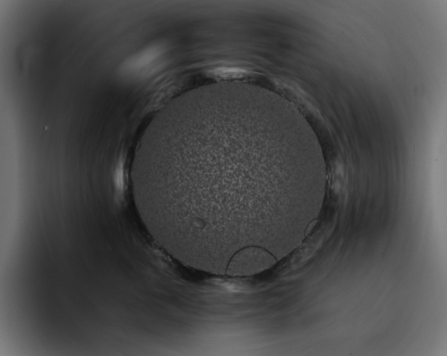 X0000093120763200710031334