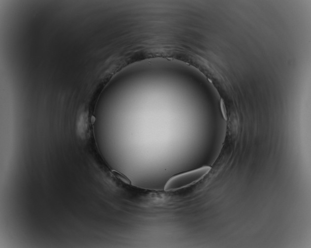 X0000093120764200710031334