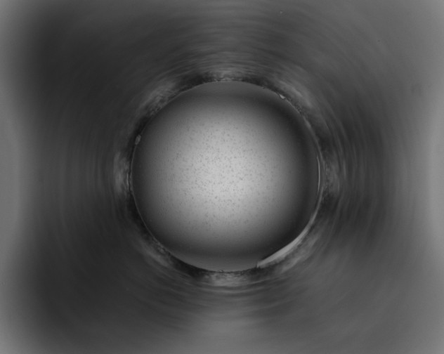 X0000093120766200710031334