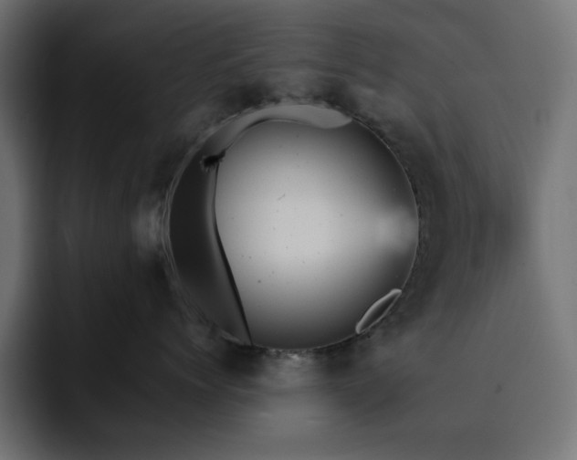 X0000093120768200710031334