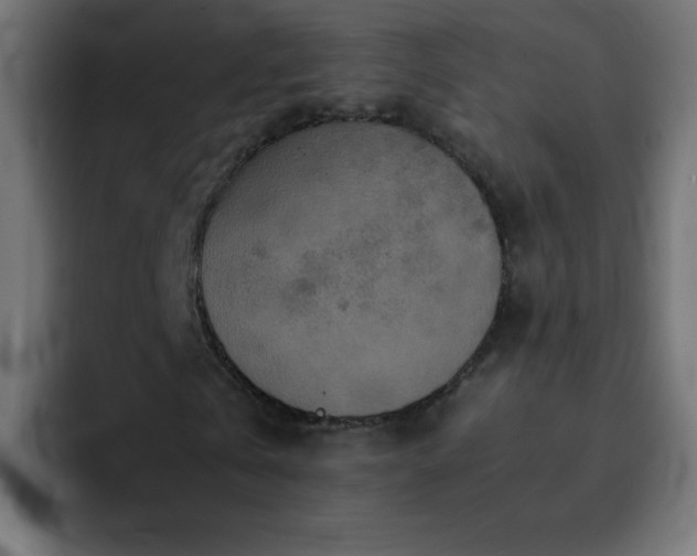 X0000093120769200710031333