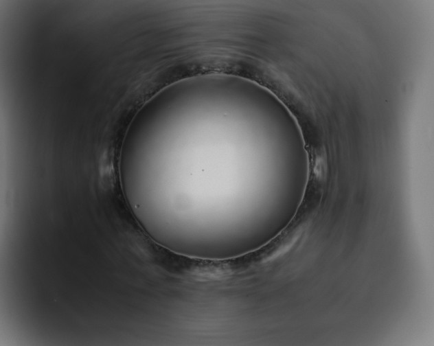 X0000093120771200710031333