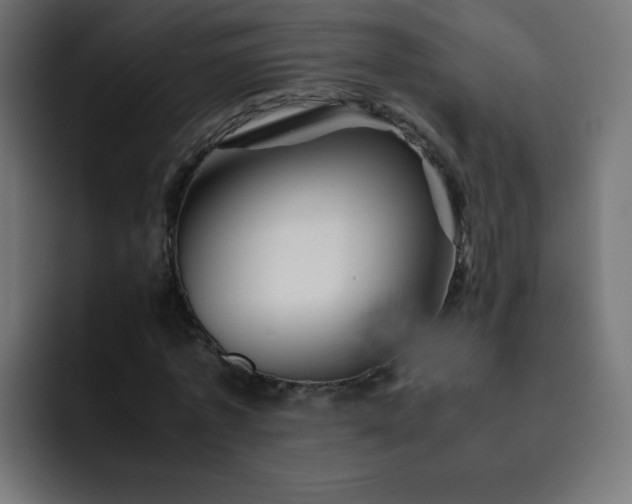 X0000093120773200710031333