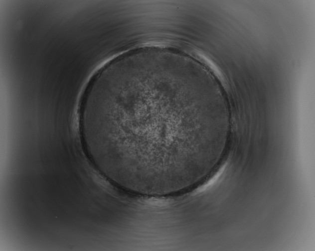 X0000093120779200710031333