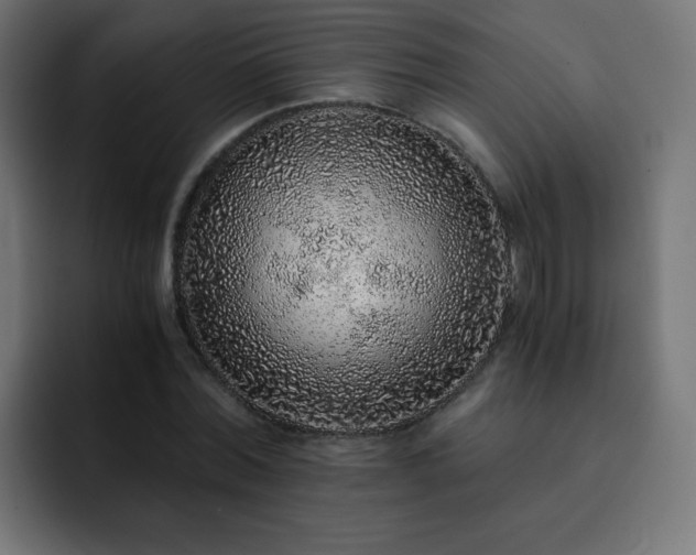 X0000093120780200710031333