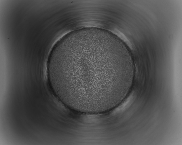 X0000093120782200710031333