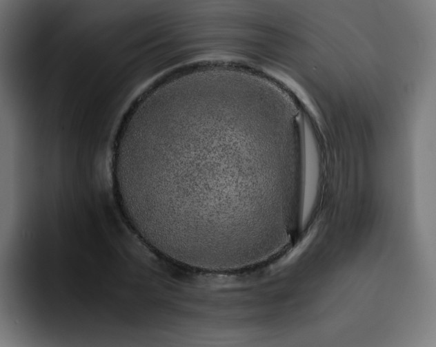 X0000093120783200710031333