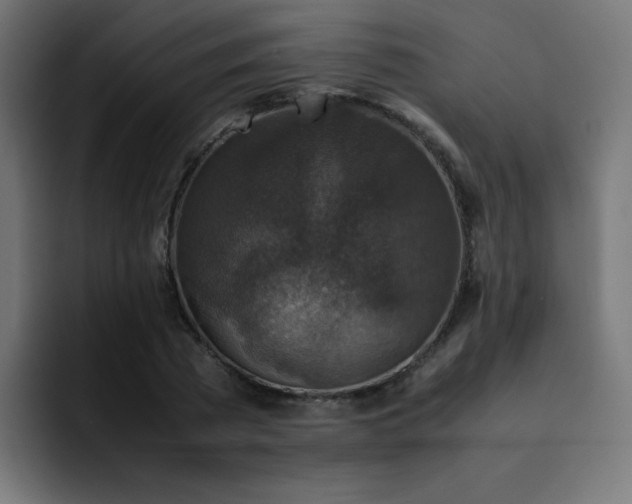 X0000093120785200710031333