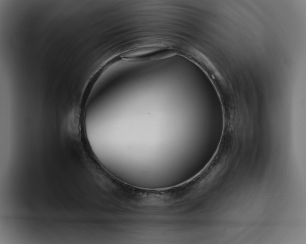 X0000093120786200710031333