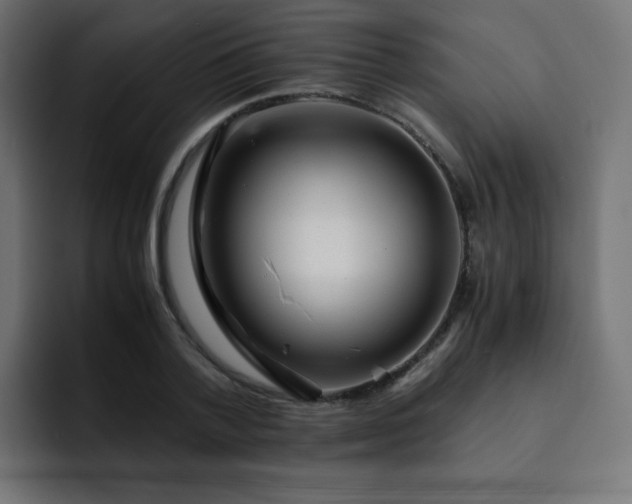 X0000093120788200710031333