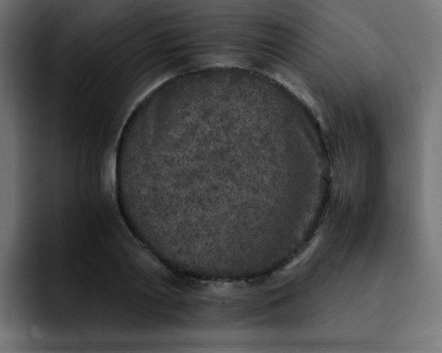 X0000093120790200710031333