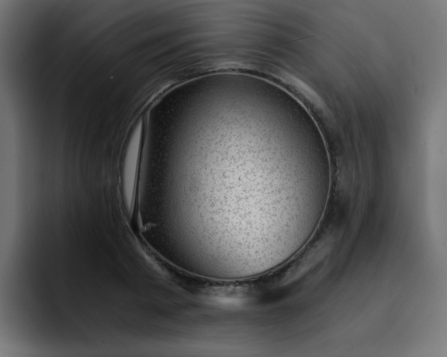X0000093120793200710031333