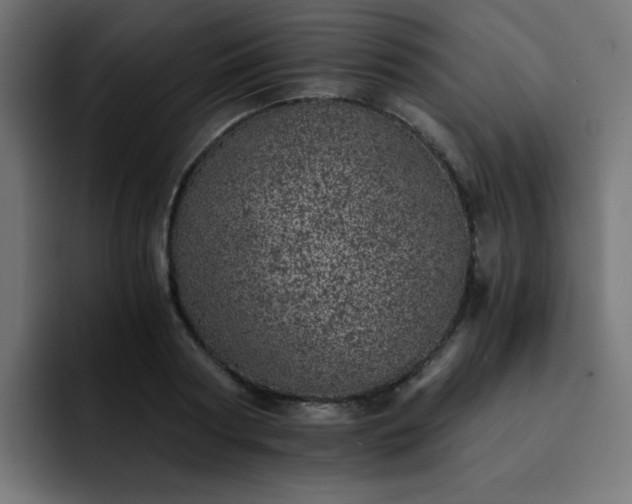 X0000093120794200710031333