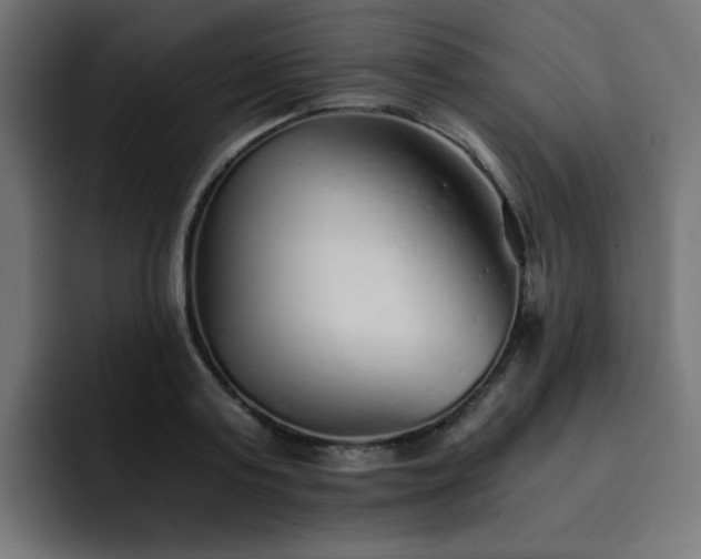 X0000093120795200710031333