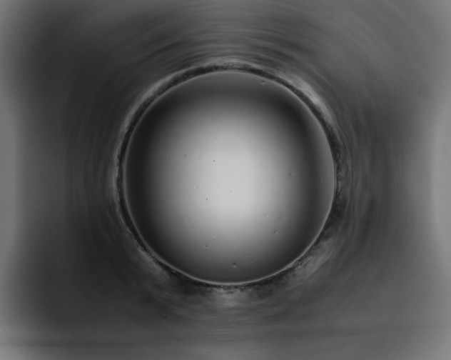 X0000093120799200710031333