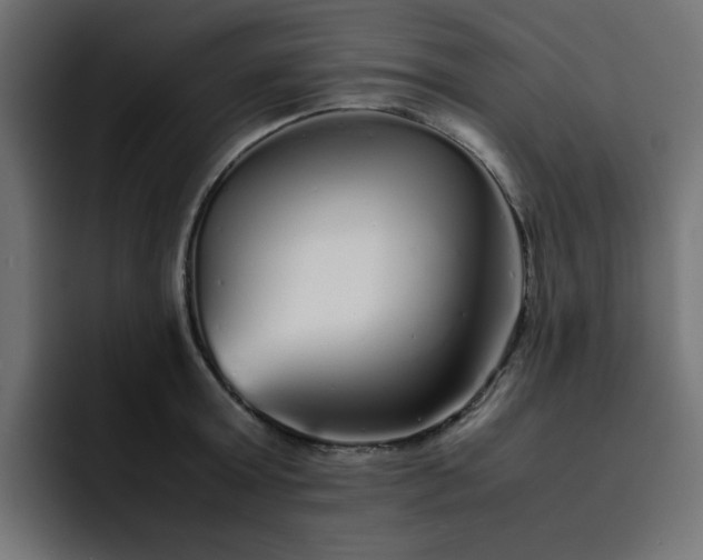 X0000093120803200710031333