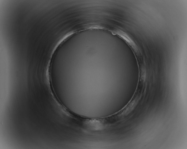 X0000093120806200710031333