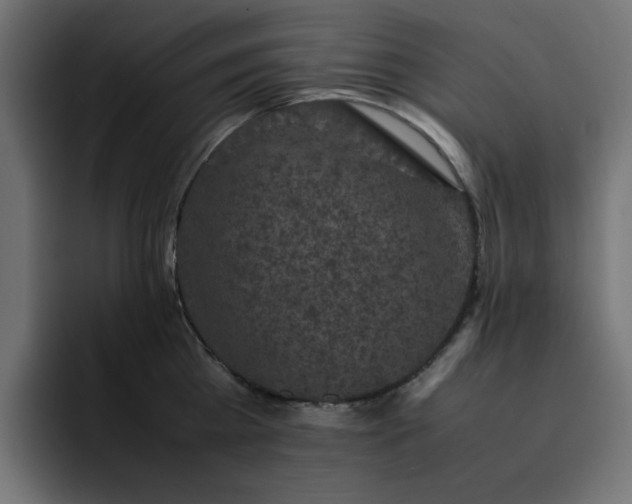 X0000093120809200710031333