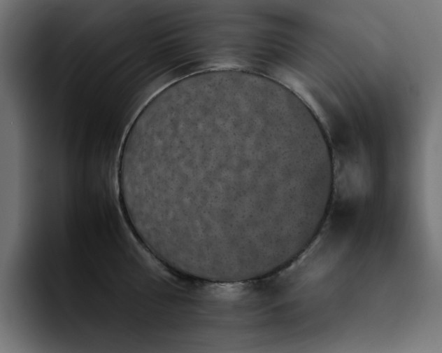 X0000093120810200710031333