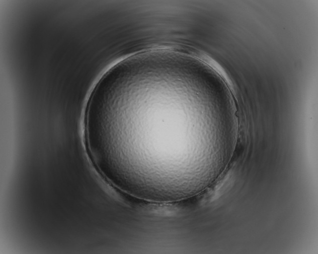 X0000093120811200710031333