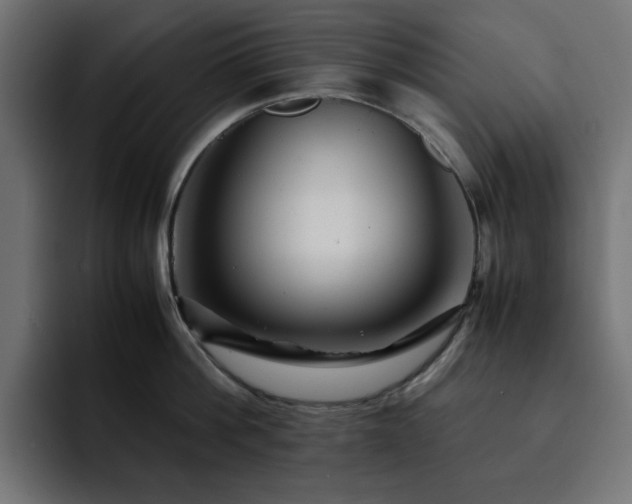 X0000093120812200710031333