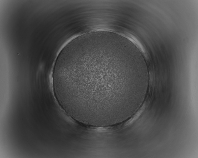 X0000093120814200710031333