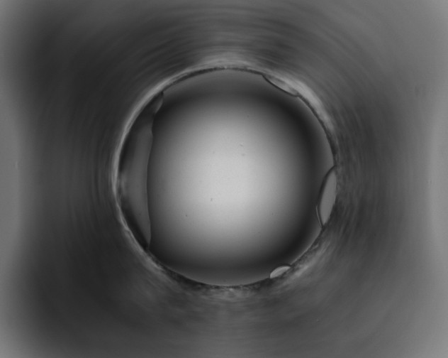 X0000093120815200710031333