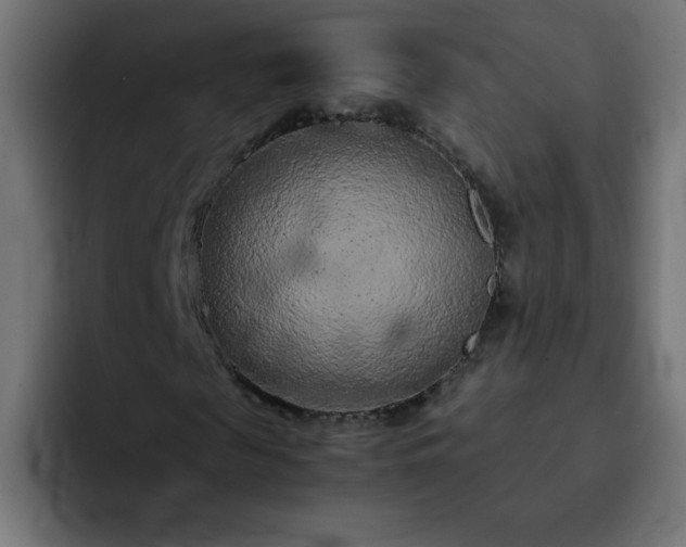 X0000093120817200710031332