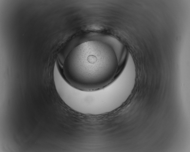 X0000093120818200710031332