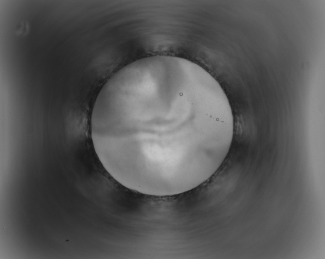 X0000093120820200710031332