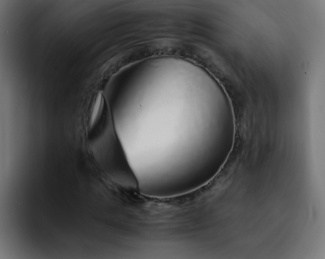 X0000093120821200710031332