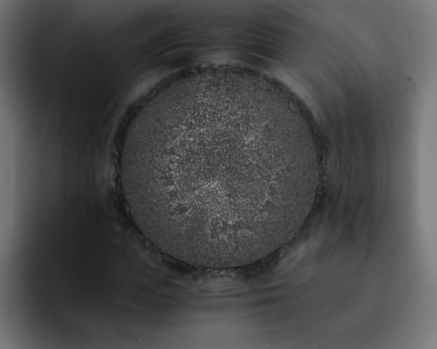X0000093120823200710031332