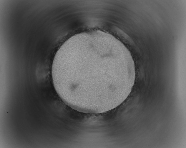 X0000093120824200710031332