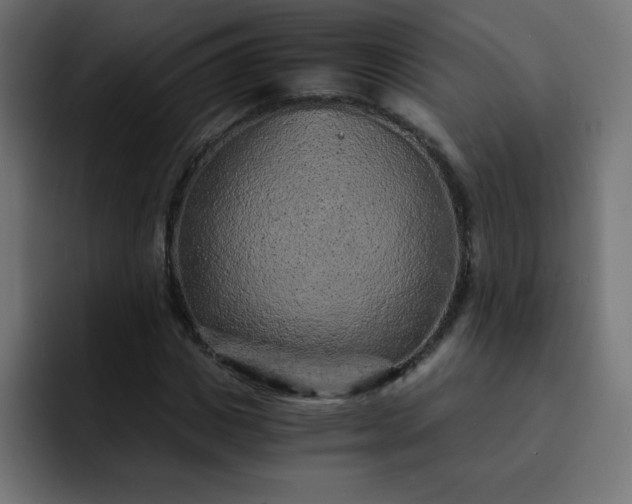 X0000093120825200710031332
