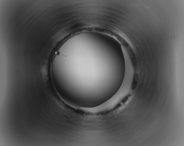 X0000093120826200710031332
