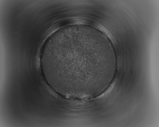X0000093120827200710031332