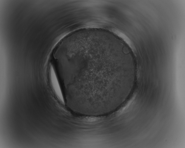 X0000093120829200710031332