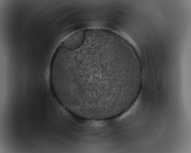 X0000093120831200710031332