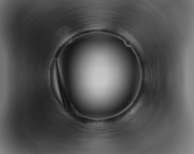 X0000093120834200710031332